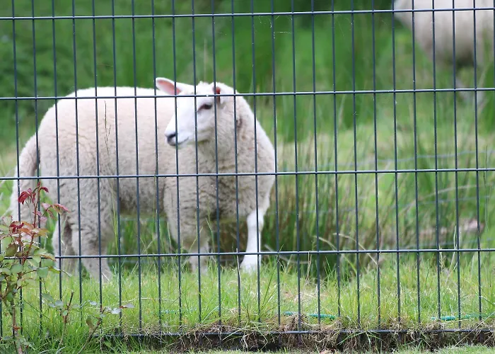 Meerliebe *